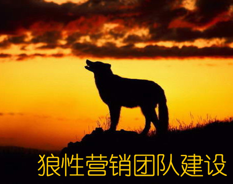 狼性營(yíng)銷(xiāo)